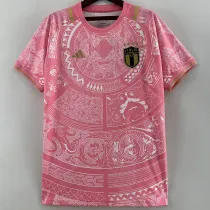 2023-24 Italy White Pink Concept Special Edition Training Shirts #ad