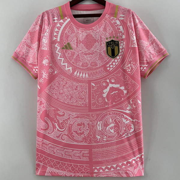 2023-24 Italy White Pink Concept Special Edition Training Shirts #ad