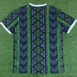 2023-24 Nigeria Gsub-green Training shirts