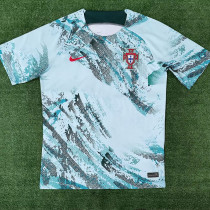2023 Portugal Grey Green Training Shirts