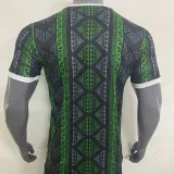 2023-24 Nigeria Gsub-green Training shirts