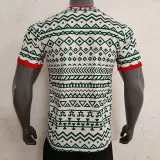 2023-24 Nigeria Green-white Training shirts