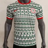 2023-24 Nigeria Green-white Training shirts