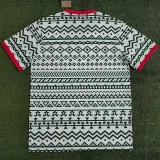 2023-24 Nigeria Green-white Training shirts