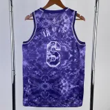 2022-23 LAKERS JAMES #6 Purple Top Quality Hot Pressing NBA Jersey (荣耀版)