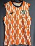 2023-24 Ivory coast Orange Vest