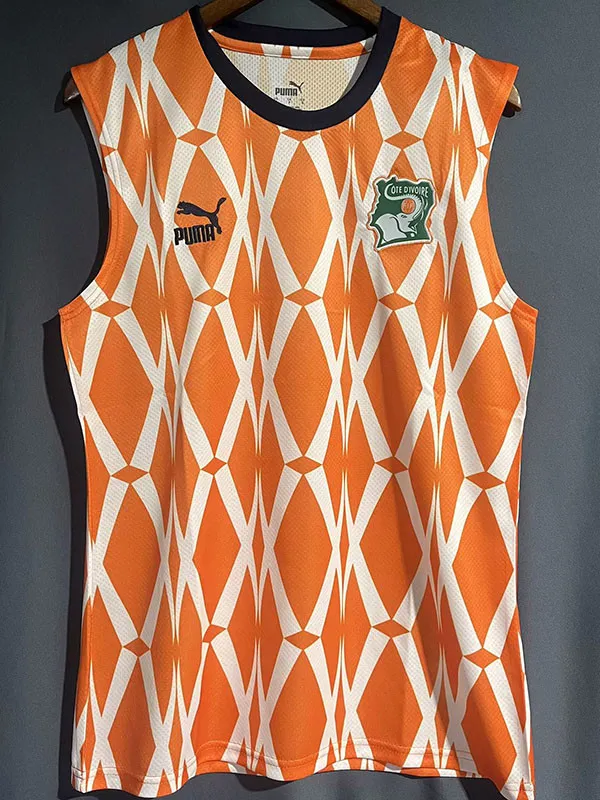 2023-24 Ivory coast Orange Vest
