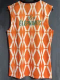 2023-24 Ivory coast Orange Vest
