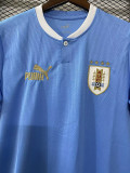 2022-23 Uruguay Home World Cup Fans Soccer Jersey