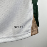 2023-24 CELTICS BROWN #7 White City Edition Home Top Quality Hot Pressing NBA Jersey
