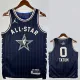 2023-24 ALL-STAR TATUM #0 Blue Top Quality Hot Pressing NBA Jersey