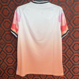 2023-24 Japan Pink Blue Special Edition Fans Soccer Jersey (粉彩)
