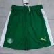 2024-25 Palmeiras Green Shorts Pants