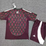 2024-25 Mexico Home Kids Soccer Jersey