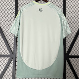 2024-25 Mexico Away 1:1 Fans Soccer Jersey