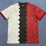 2024-25 LIV Stitching Color Special Edition Training Shirts (红-黑-白)