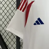 2024-25 Chile Away Fans Soccer Jersey
