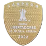 2024-25 Fluminense Away Fans Soccer Jersey