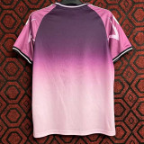 2023-24 Japan Purple Pink Special Edition Fans Training Shirts (紫粉色)