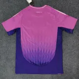 2024-25 Germany Away 1:1 Fans Soccer Jersey