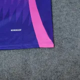 2024-25 Germany Away 1:1 Fans Soccer Jersey