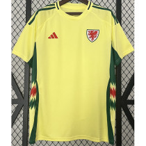 2024-25 Wales Away Fans Soccer Jersey