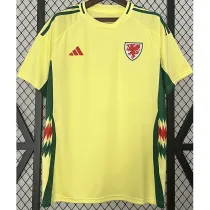 2024-25 Wales Away Fans Soccer Jersey