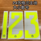 2024-25 Scotland Home Fans Soccer Jersey
