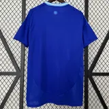 2024-25 Argentina Away 1:1 Fans Soccer Jersey #FWCC