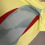 2024-25 Spain Away 1:1 Fans Soccer Jersey