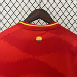 2024-25 Spain Home Fans Soccer Jersey
