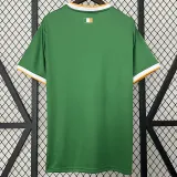 2024-25 Celtic Green Special Edition Fans Soccer Jersey