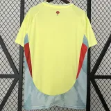 2024-25 Spain Away 1:1 Fans Soccer Jersey