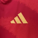 2024-25 Spain Home 1:1 Fans Soccer Jersey