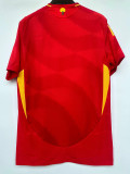 2024-25 Spain Home Player Version Soccer Jersey