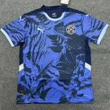 2024-25 Paraguay Away Fans Soccer Jersey