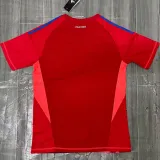 2024-25 Italy Red GoalKeeper Soccer Jersey (红色)
