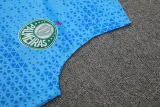 2024-25 Palmeiras Lake blue Tank top and shorts suit