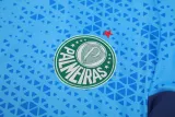 2024-25 Palmeiras Lake blue Training Short Suit