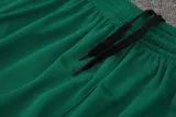 2024-25 Palmeiras Light green Training Short Suit