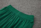 2024-25 Palmeiras Light green Training Short Suit