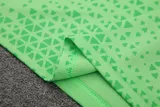 2024-25 Palmeiras Light green Training Short Suit