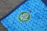 2024-25 Palmeiras Royal blue Tank top and shorts suit
