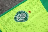 2024-25 Palmeiras Fluorescent green Training Short Suit