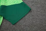 2024-25 Palmeiras Light green Training Short Suit