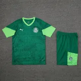 2024-25 Palmeiras Green Training Short Suit
