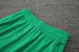 2024-25 Palmeiras Fluorescent green Training Short Suit