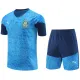 2024-25 Palmeiras Lake blue Training Short Suit