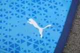 2024-25 Palmeiras Lake blue Training Short Suit