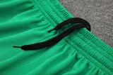 2024-25 Palmeiras Fluorescent green Training Short Suit